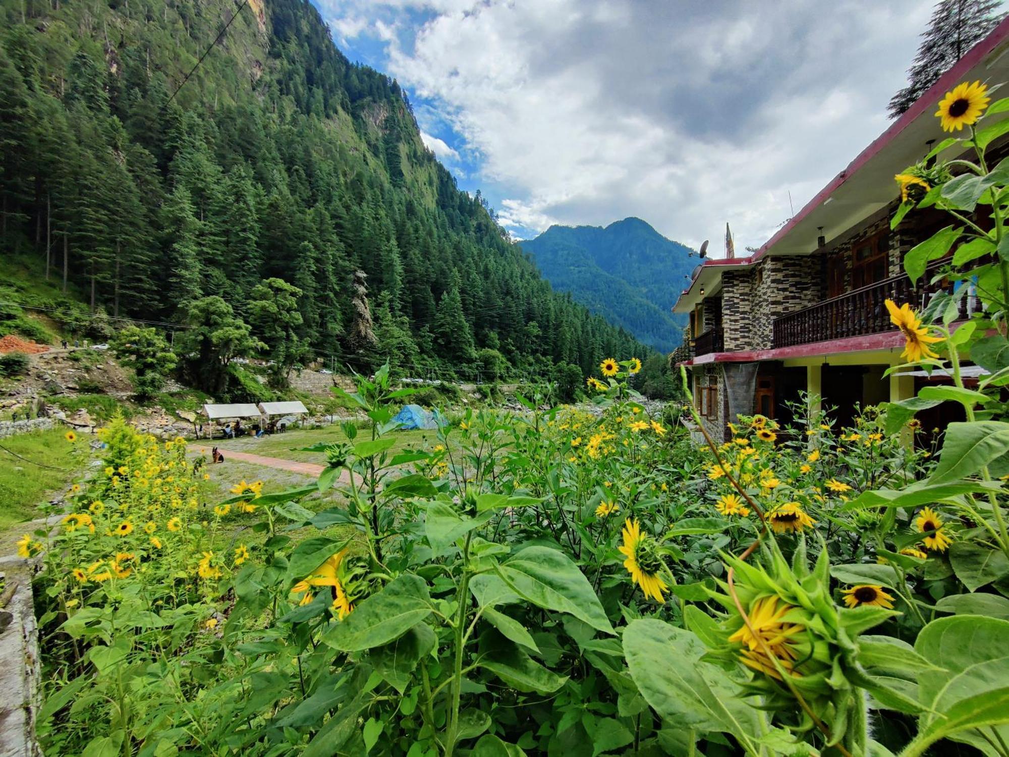 Flipsyde Retreat Hotel Касол Екстериор снимка