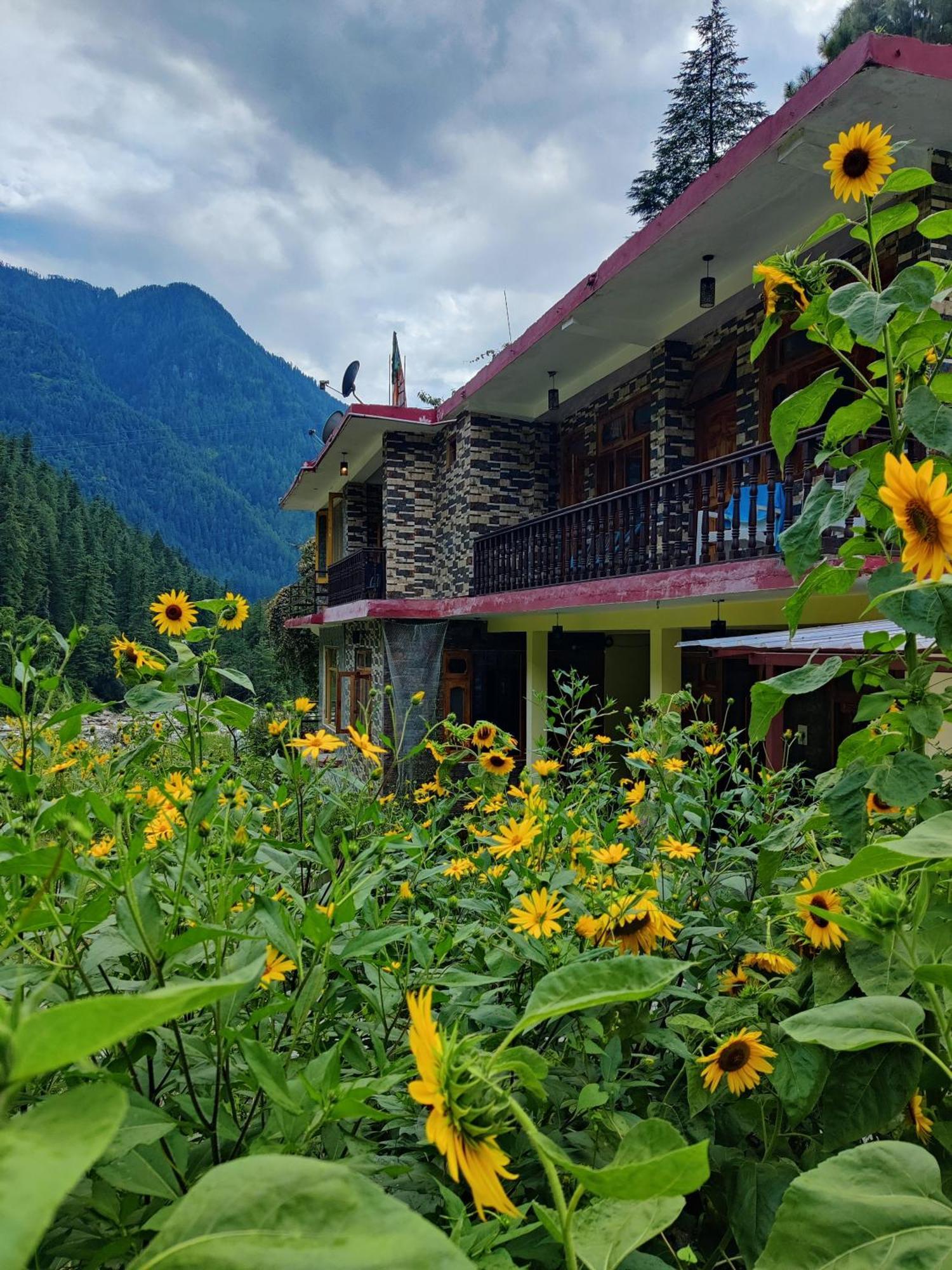 Flipsyde Retreat Hotel Касол Екстериор снимка