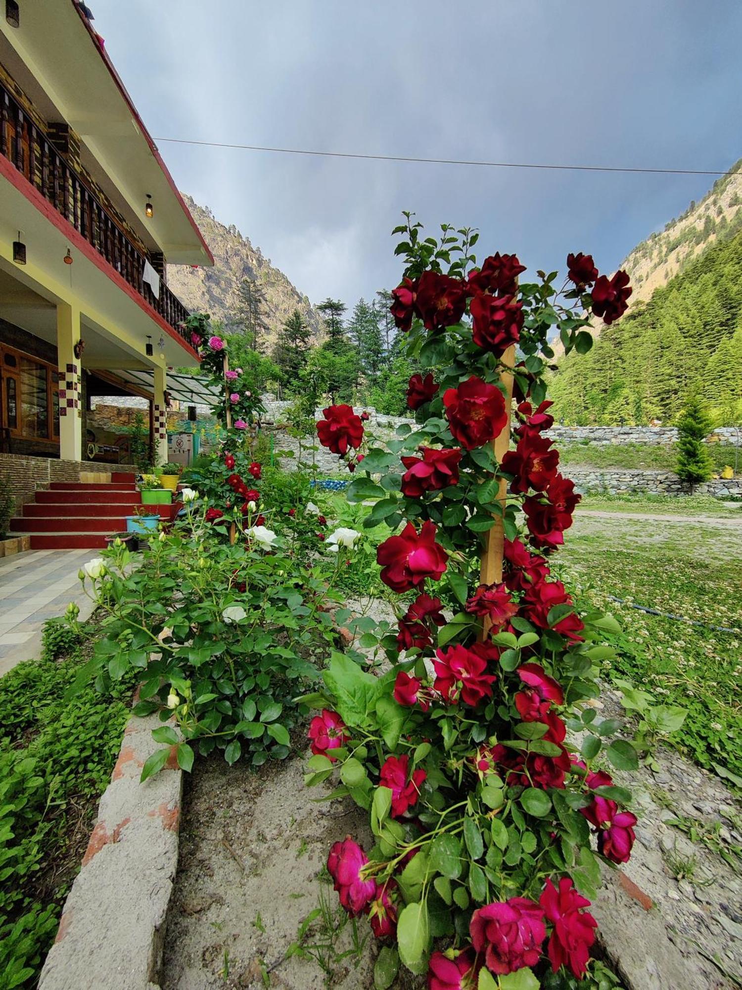 Flipsyde Retreat Hotel Касол Екстериор снимка